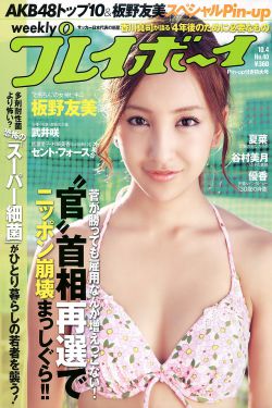 田依桐