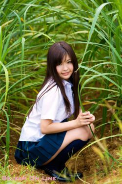 焦作市学校安全教育平台