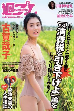 赵甲第是什么电视剧