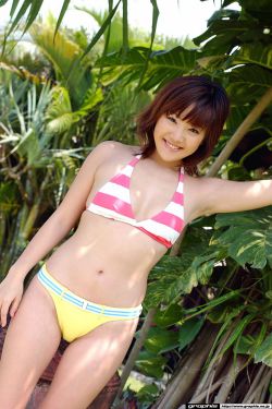 辛尤里在线