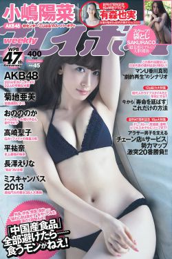 那小子真帅2